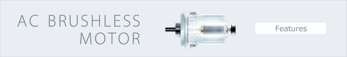 AC BRUSHLESS MOTOR Feature